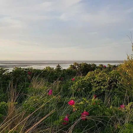 Residenz Haus Am Muehlenpark Apartman *